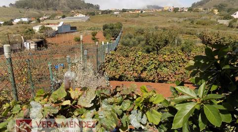 Foto 5 de Finca rústica en venda a Tacoronte - Los Naranjeros, Santa Cruz de Tenerife