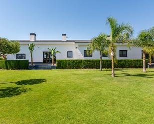 Vista exterior de Casa o xalet en venda en Elche / Elx amb Aire condicionat, Calefacció i Jardí privat