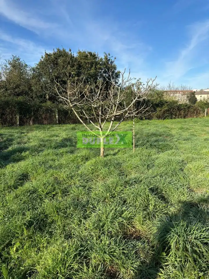 Maison avec jardin à vendre à Zona Fernández Ladreda, imagen 63
