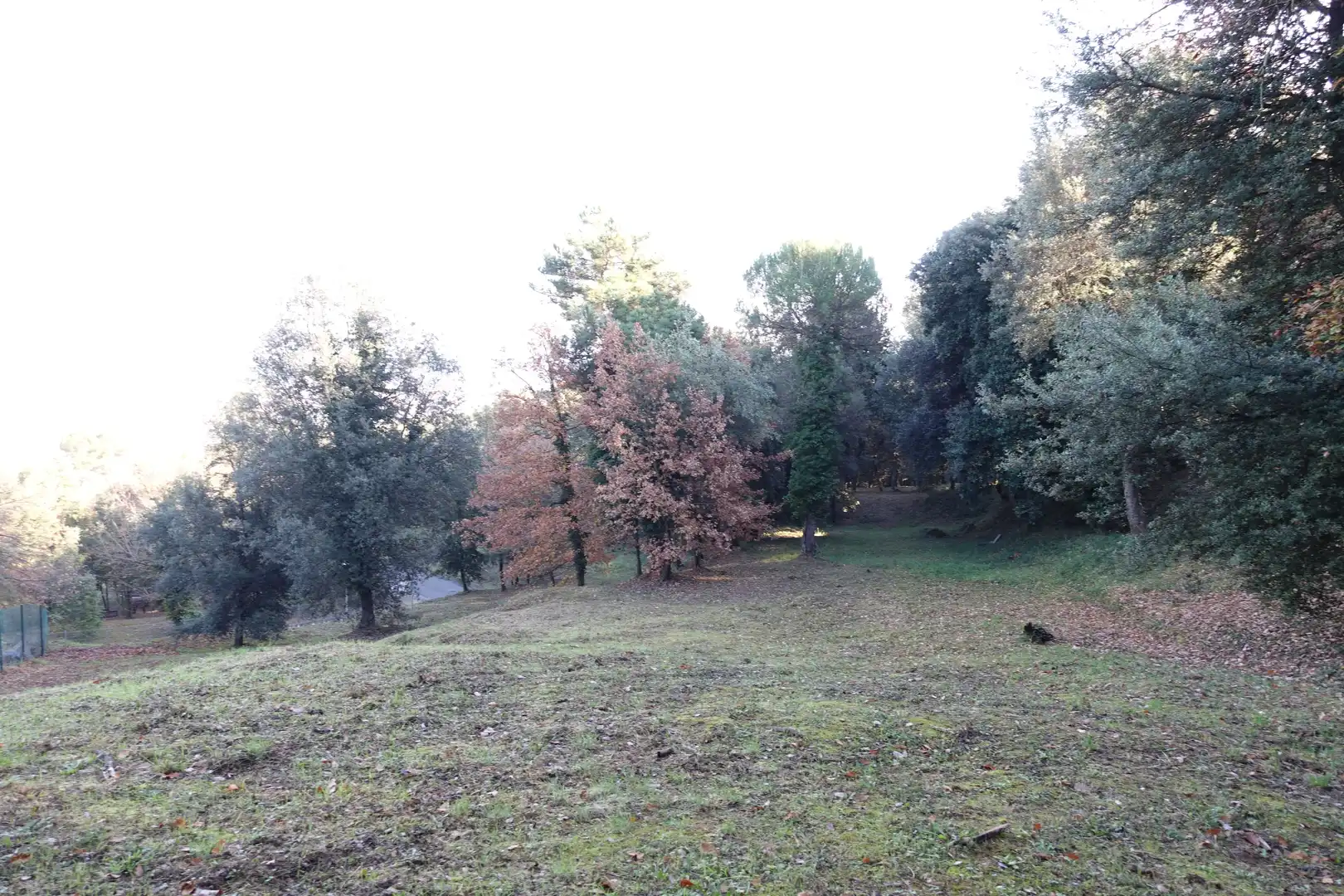 Terreno residenziale in vendita a Diseminado Afueras, imagen 3