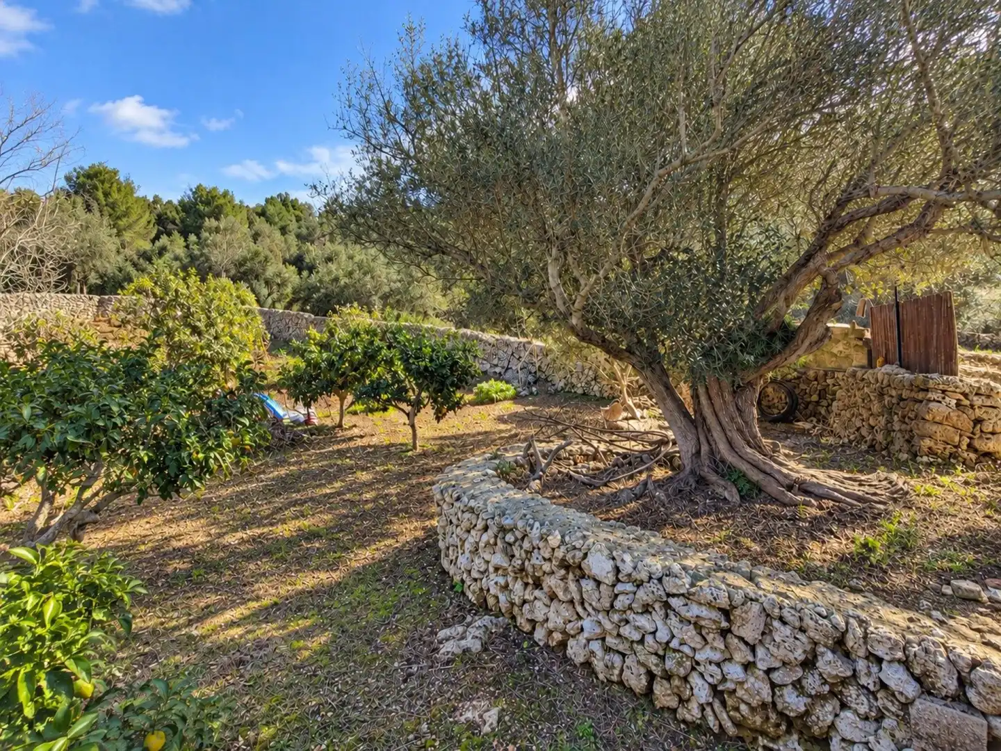 Country house with pool for sale in Llucmaçanes, imagen 50