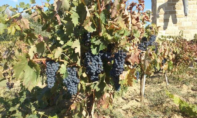 Edificio en Venta en Frómista