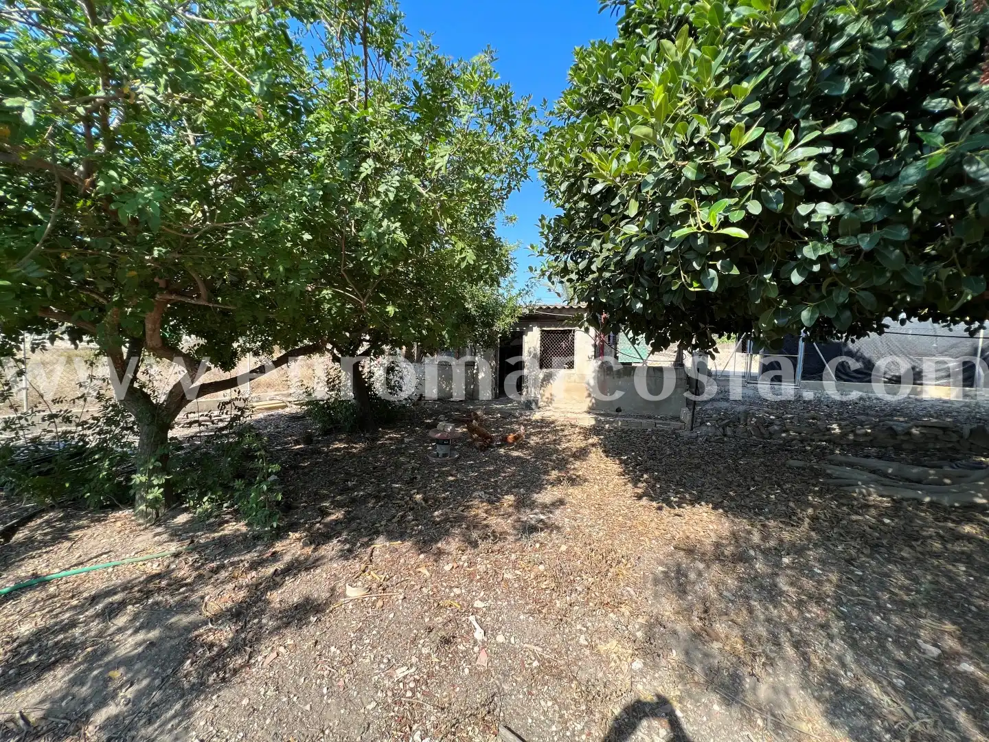 Country homes for sale in Elche / Elx  with Private garden and Furnished