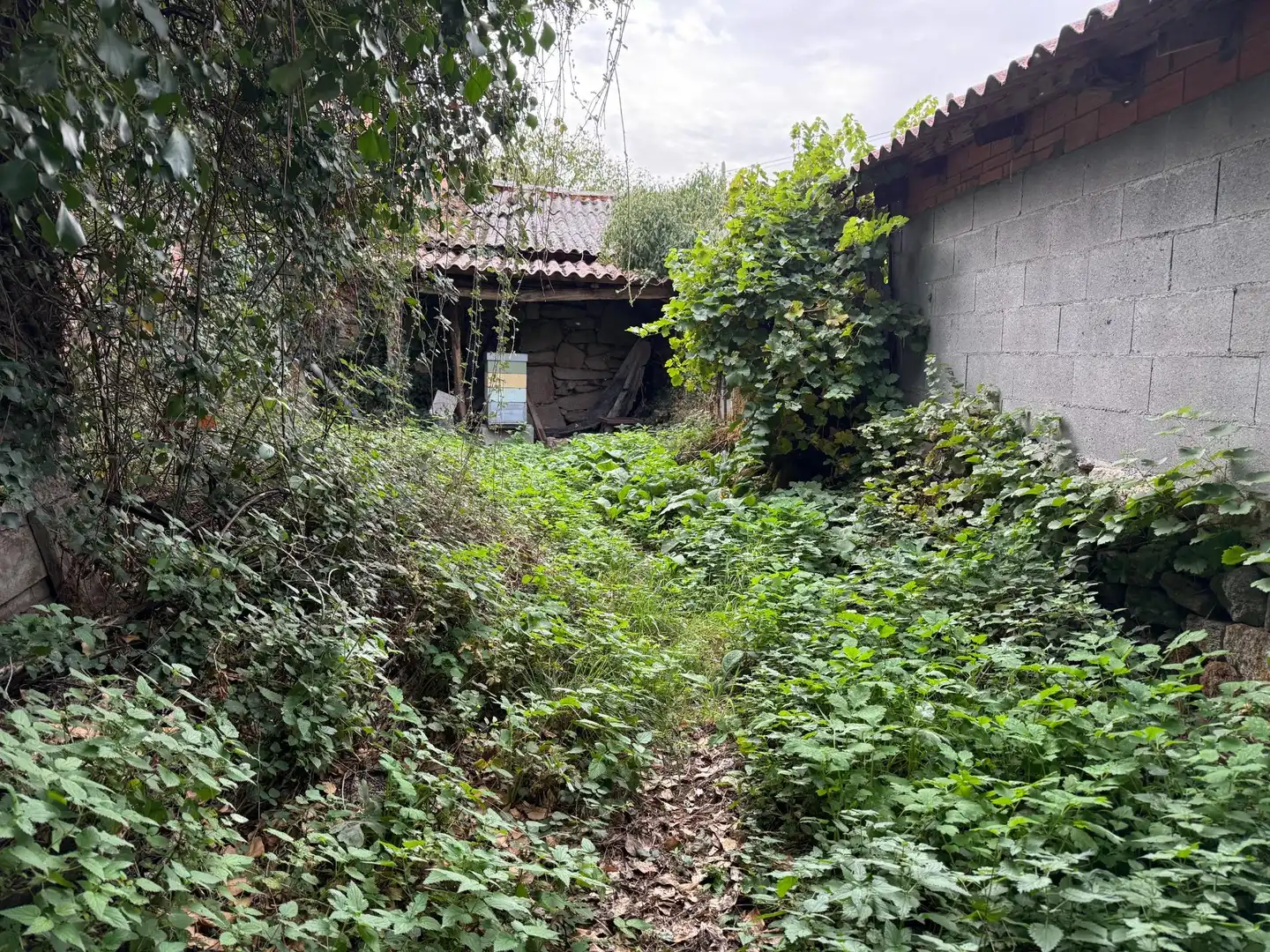 Haus oder Chalet zum Verkauf in Sandiás, Ourense