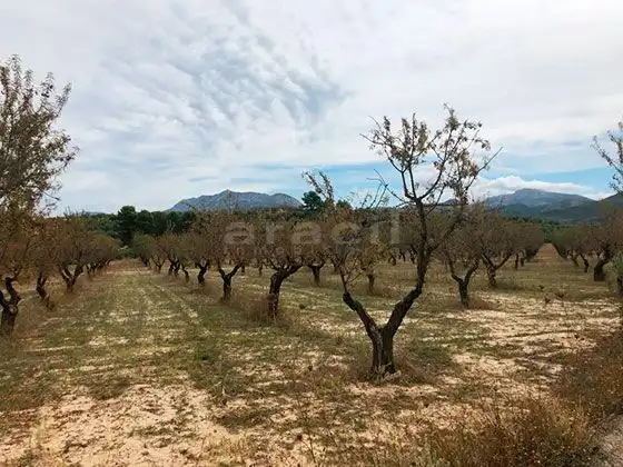 Country house zum Verkauf in Benilloba mit Privatgarten