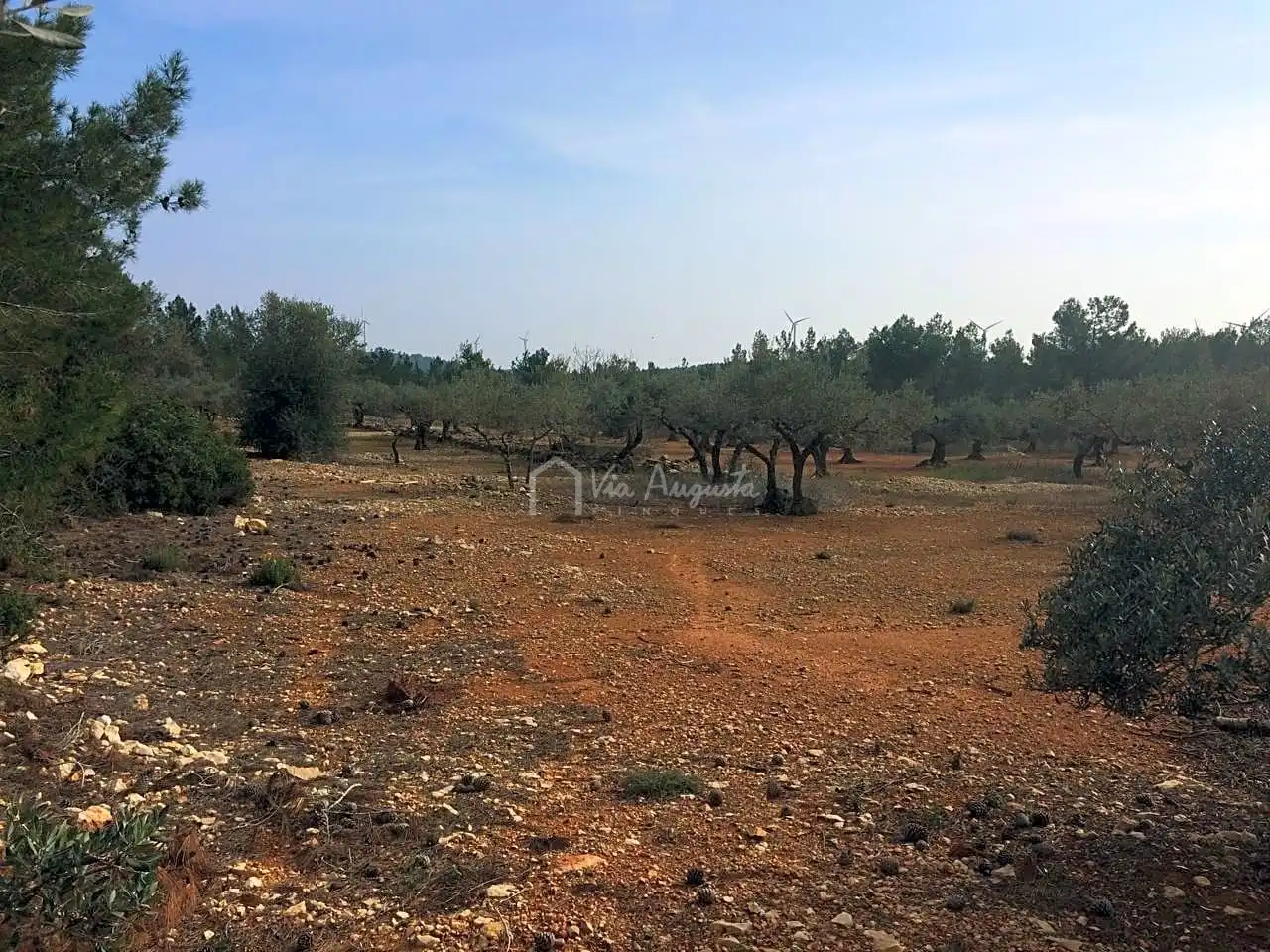 Terreno rustico in vendita a Burga, imagen 11