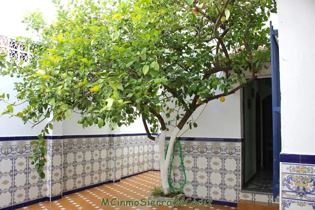 Haus mit Terrasse zum Verkauf in El Bosque, imagen 36