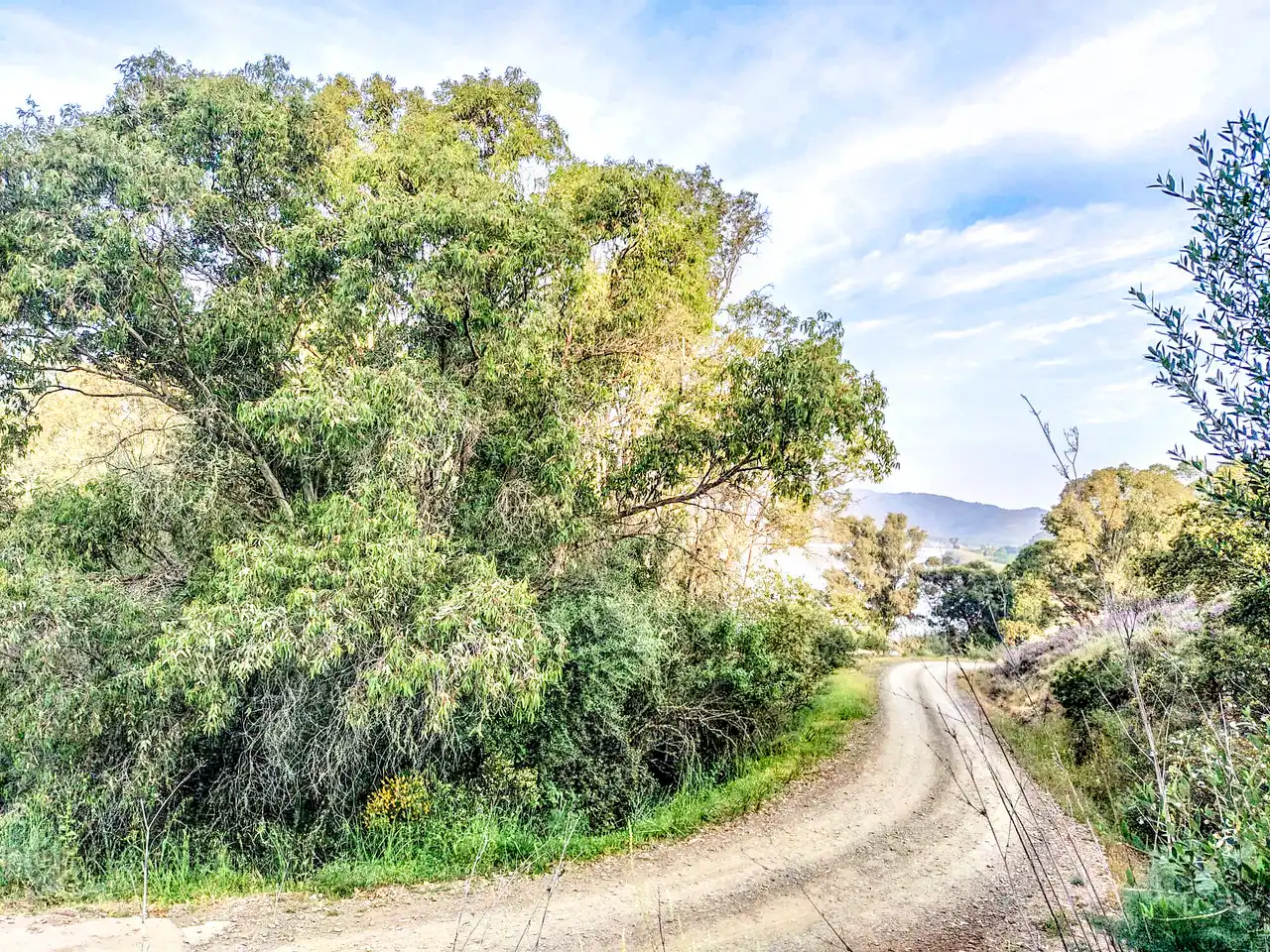Casa rústica en venda a Camino del Romerano, imagen 12