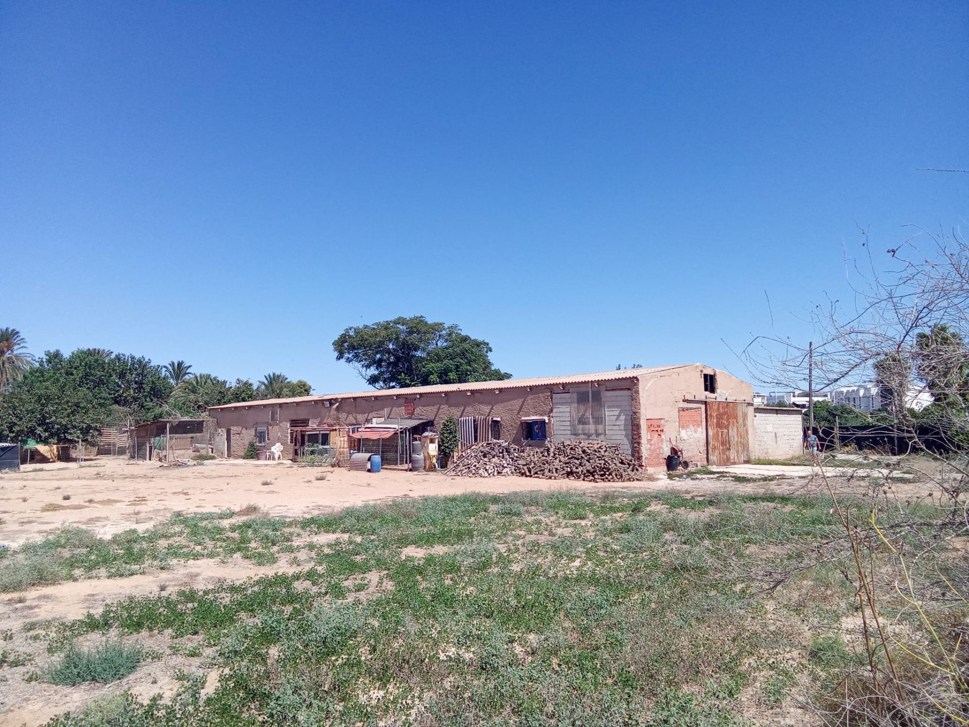 Exterior view of Residential for sale in San Pedro del Pinatar