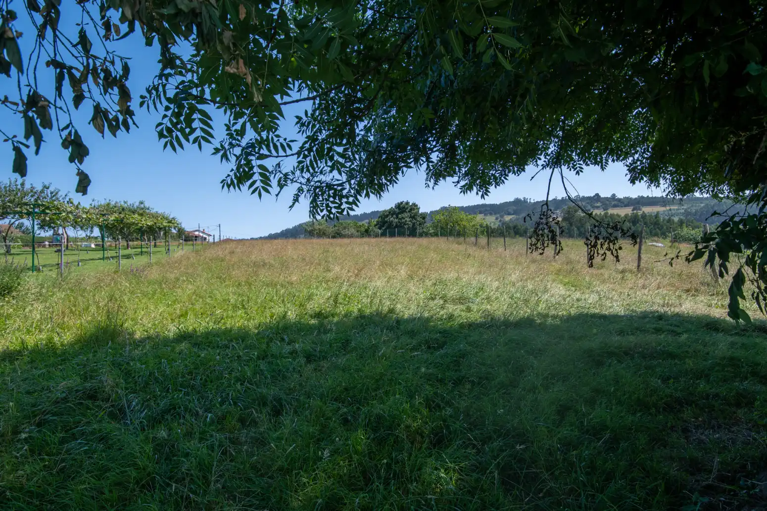 Terreny residencial en venda a Venta de las Ranas - Venta Las Ranas, imagen 6