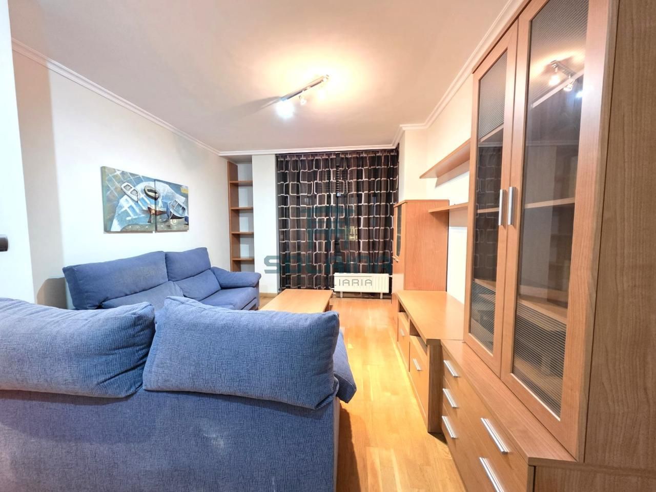 Sala d'estar de Pis de lloguer en Ourense Capital  amb Calefacció i Moblat