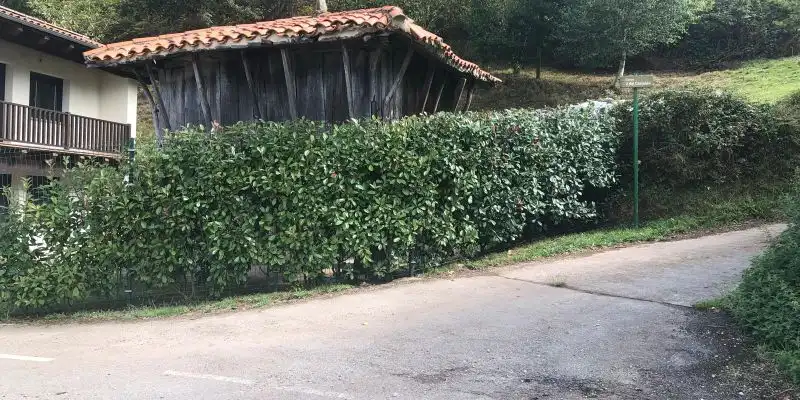 Terreno rustico in vendita a Camino DE LOS CIERROS-CALDONES, imagen 17