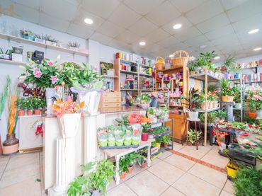 Local commercial à vendre à Calle Azuela