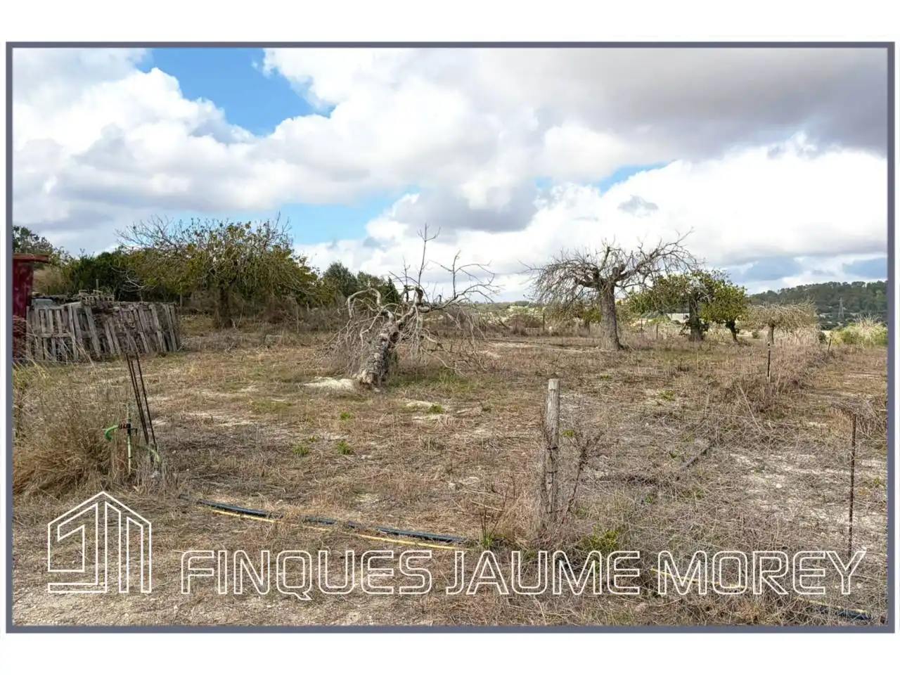 Finca rústica en venta en Maria de la Salut con Jardín privado
