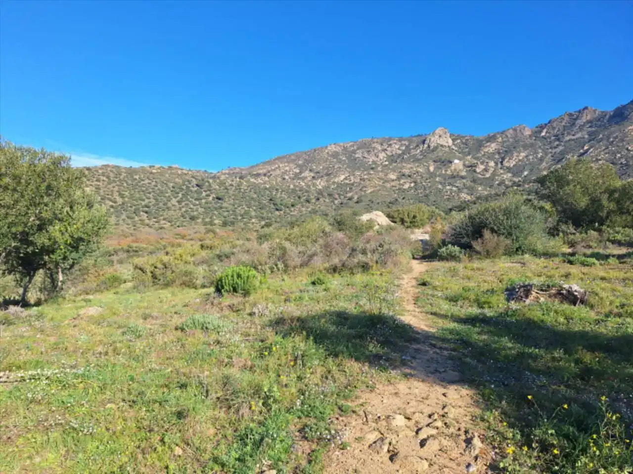 Residential land for sale in Can Muni. Polígono 2 Parcela, imagen 16