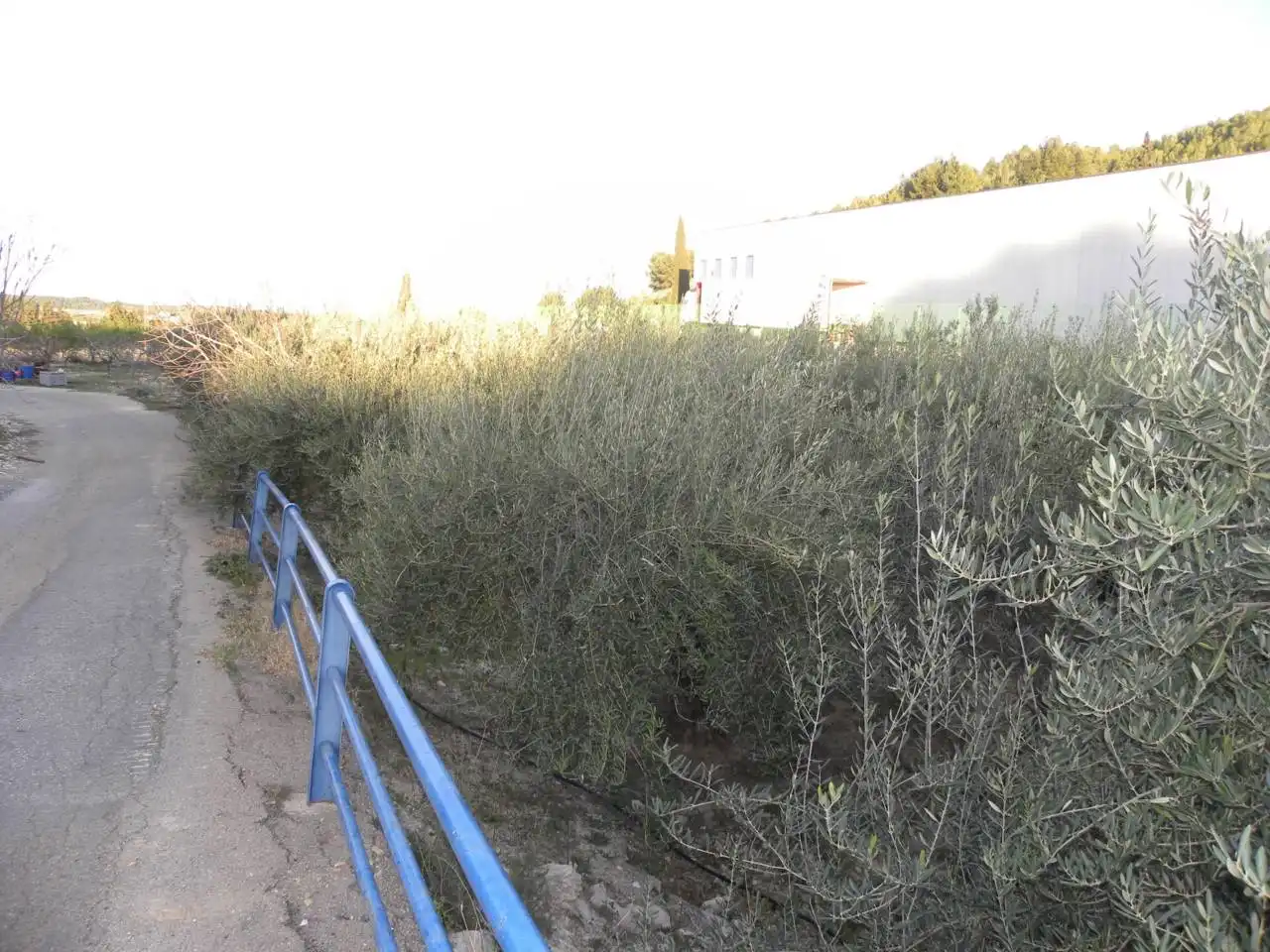Nau industrial en venda a Cehegín, imagen 71
