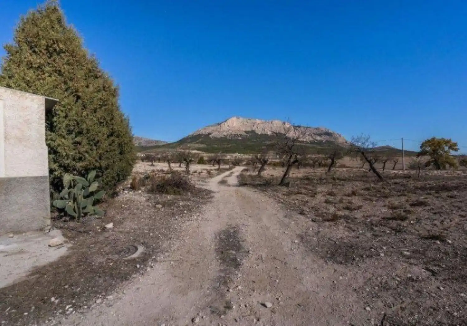Finca rústica en venta en Vélez-Rubio con Calefacción, Jardín privado y Trastero