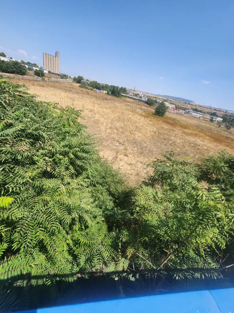 Terreno residenziale in vendita a Marchamalo, imagen 38