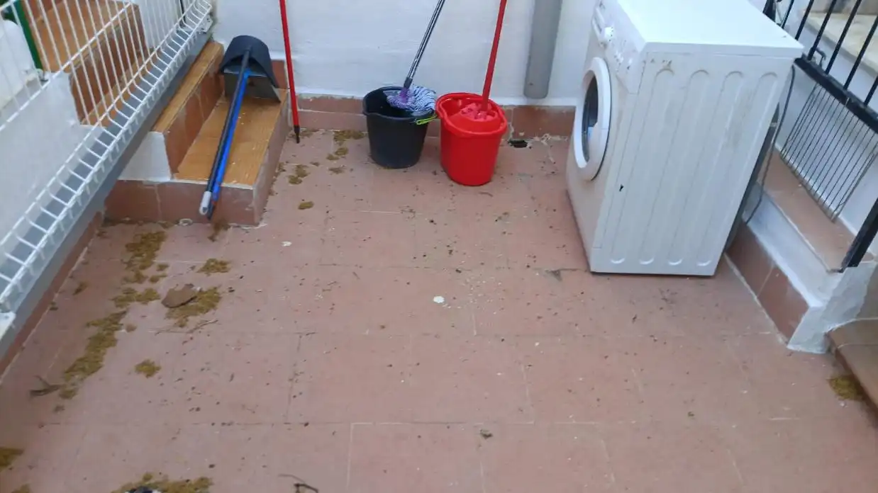 Wohnung zur Miete in Barrio de la Concepción