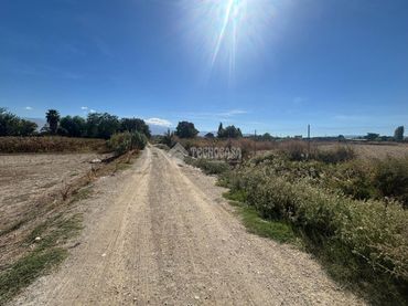 Terreno rustico in vendita a San Cayetano