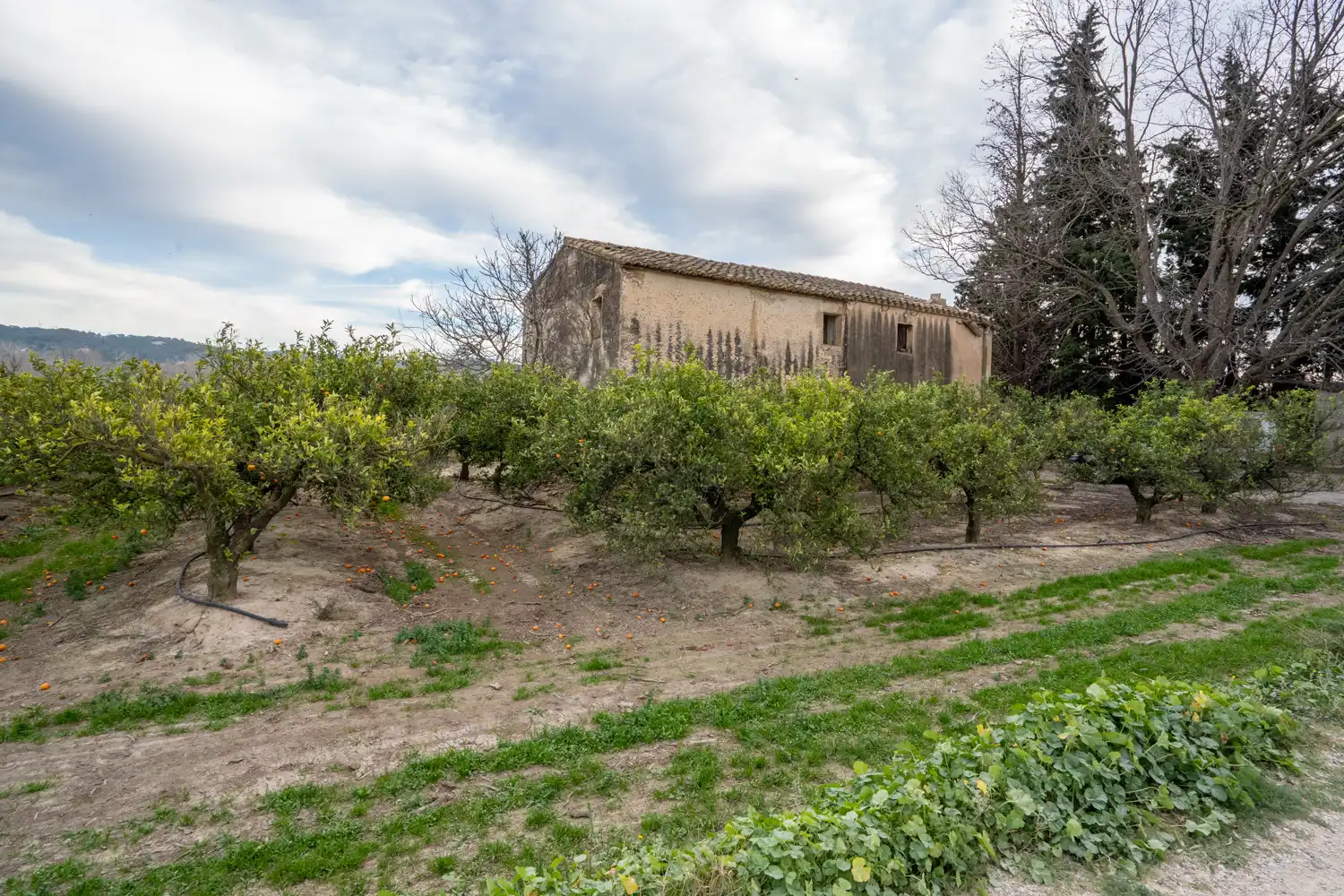 Terrain rustique à vendre à Partida Sant Bernabe 466, imagen 5