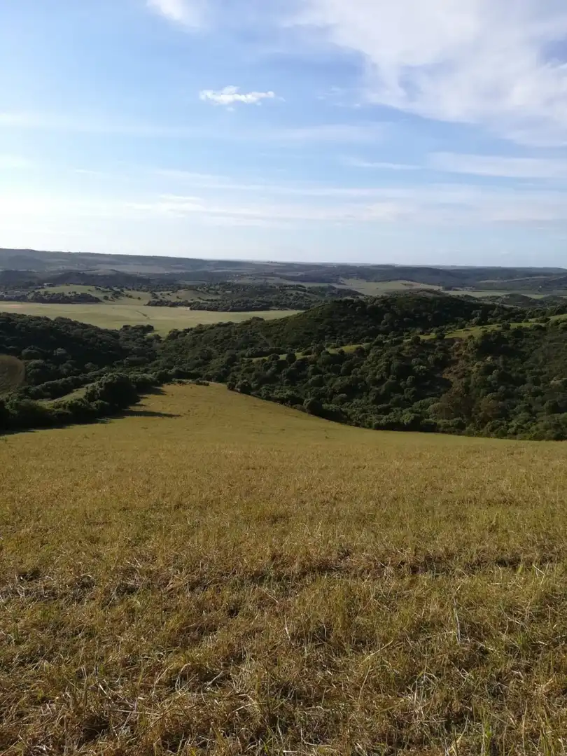Terrain rustique à vendre à Vejer, imagen 4