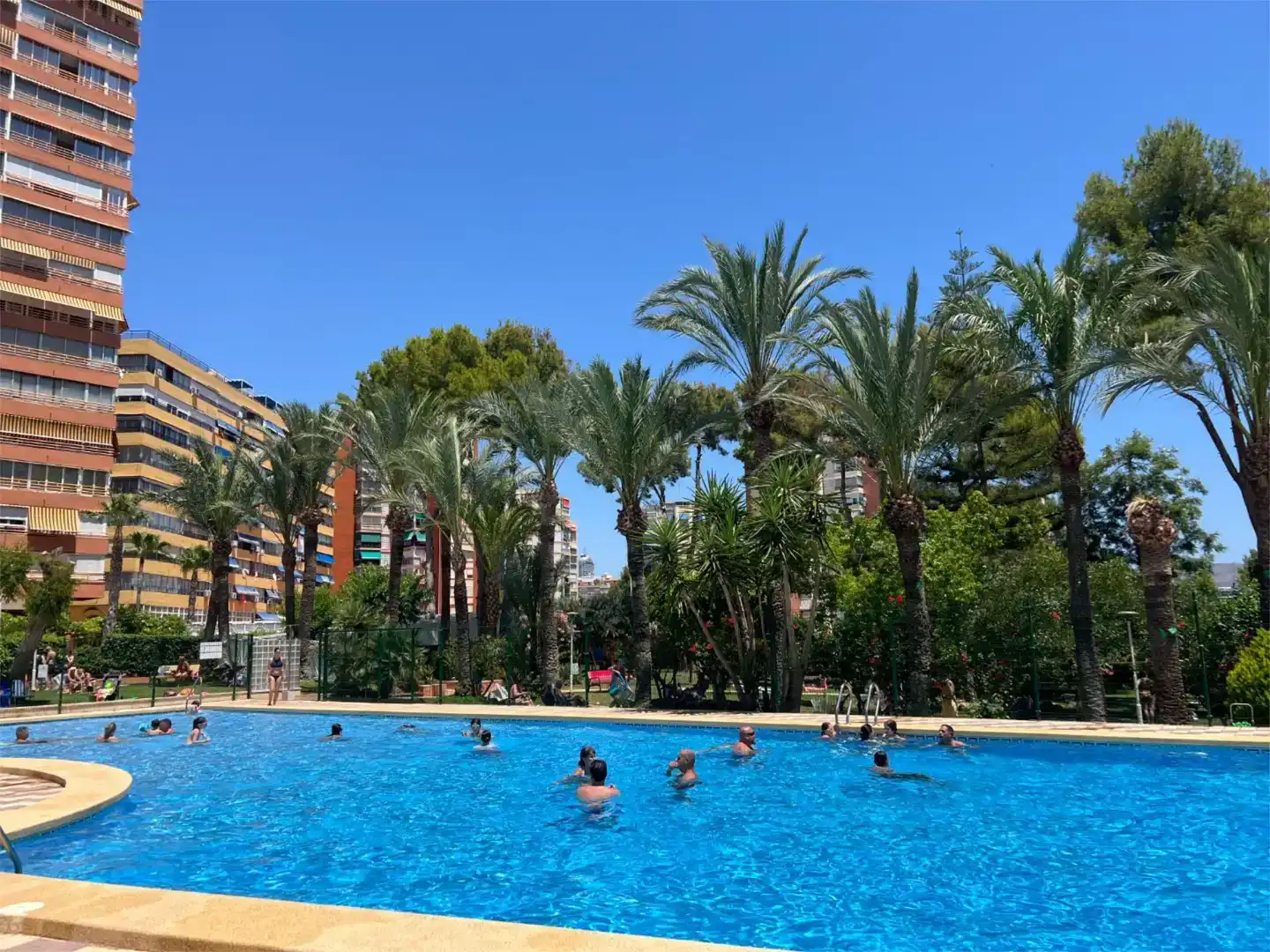 Schwimmbecken von Wohnung zur Miete in Benidorm mit Klimaanlage, Privatgarten und Schwimmbad