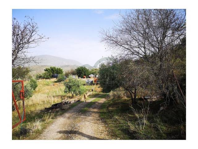 Casa-chalet en Venta en Zahara