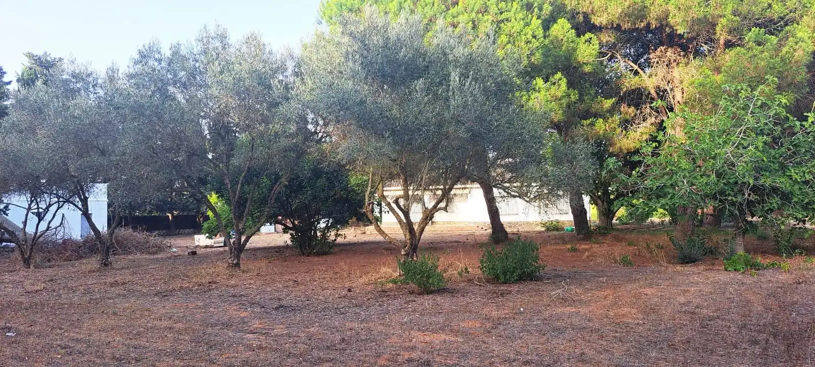 Houses for sale in Chiclana de la Frontera  with Private garden, Terrace and Furnished