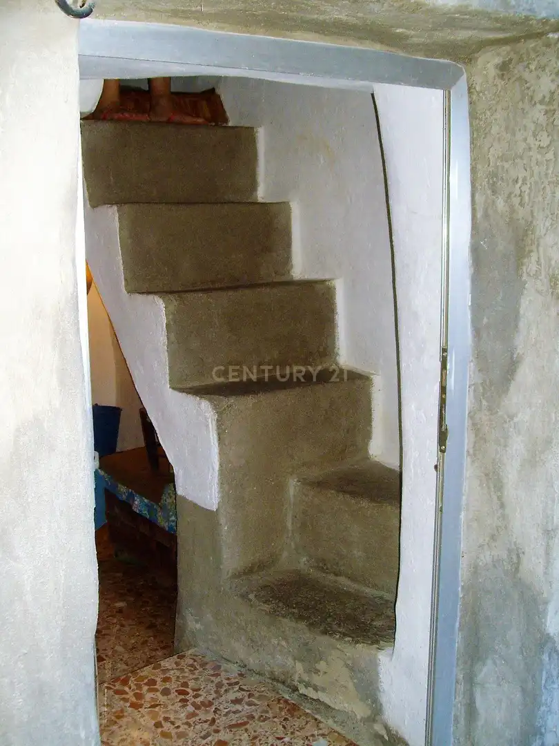 Houses for sale in Pinofranqueado