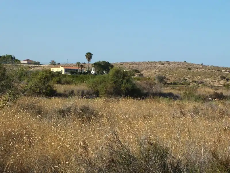 Rustikales Grundstück zum Verkauf in Los Arenales del Sol, imagen 10