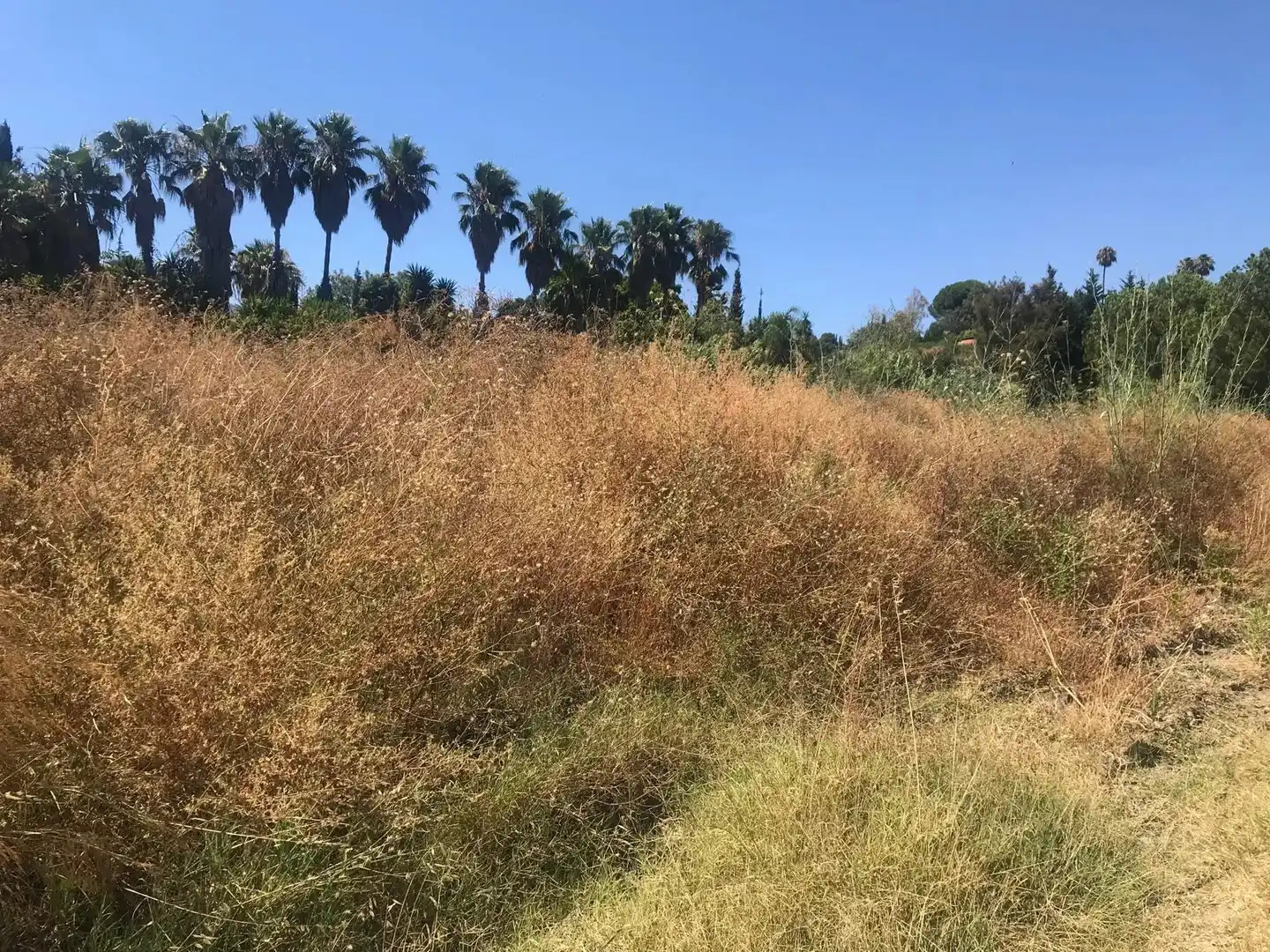 Grundstücke zum Verkauf in Estepona