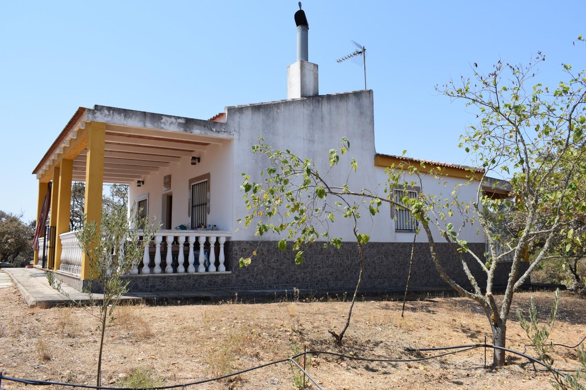 Exterior view of Country house for sale in Villanueva de los Castillejos