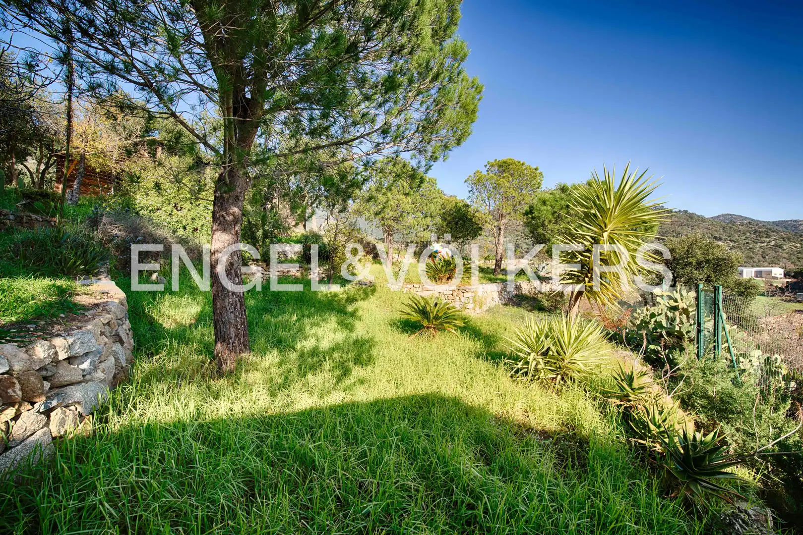 Detached homes for sale in Cantallops  with Private garden, Terrace and Swimming Pool