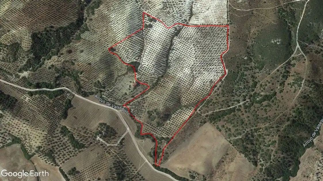 Rural land for sale in Morón de la Frontera, imagen 3