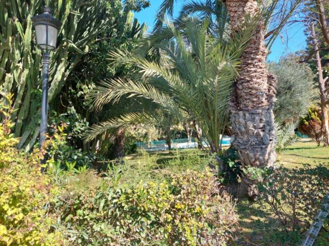 Casa-chalet en Venta en Alicante Golf