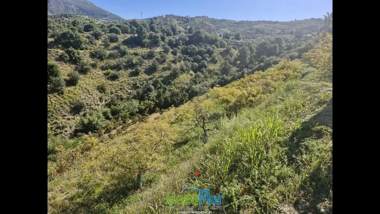 Terreny rústic en venda a Barranco de la Fifa, imagen 6