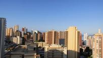 Vista exterior de Apartament en venda en Benidorm amb Jardí privat, Terrassa i Piscina comunitària