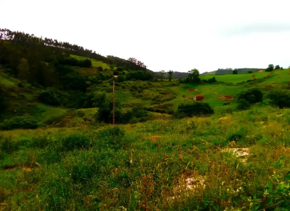 Terrain rustique à vendre à PARAJE MONTE DEL REY Y EL BURCO (POLIGONO 11, PART 122-, imagen 9