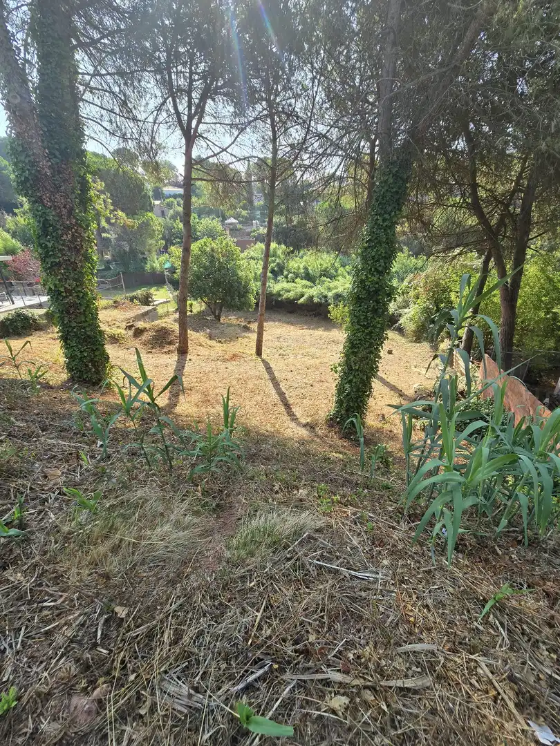 Terrenos y solares en venta en Vacarisses, imagen 15
