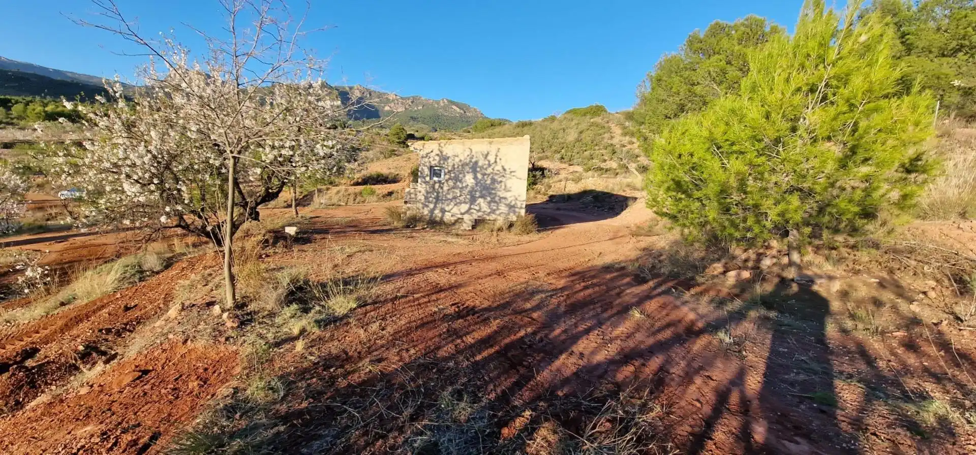 Casa o chalet en venta en Aledo