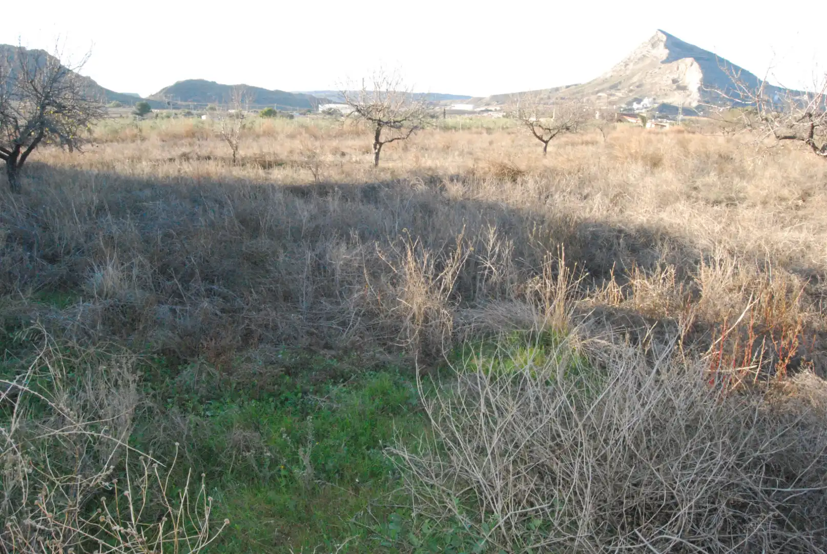 Houses for sale in Alicante / Alacant  with Air Conditioner, Terrace and Storage room
