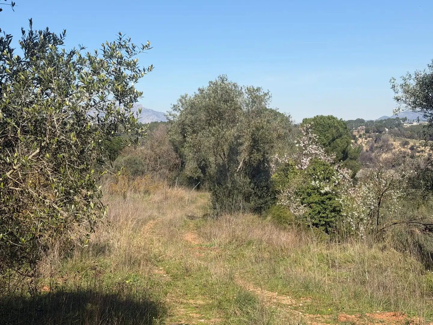 Rural land for sale in Castellví de Rosanes, imagen 9