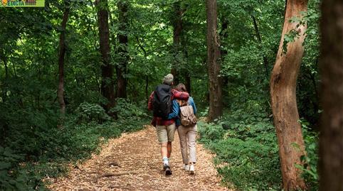 Foto 4 de Casa adosada en venda a Palazuelos de Eresma, Segovia