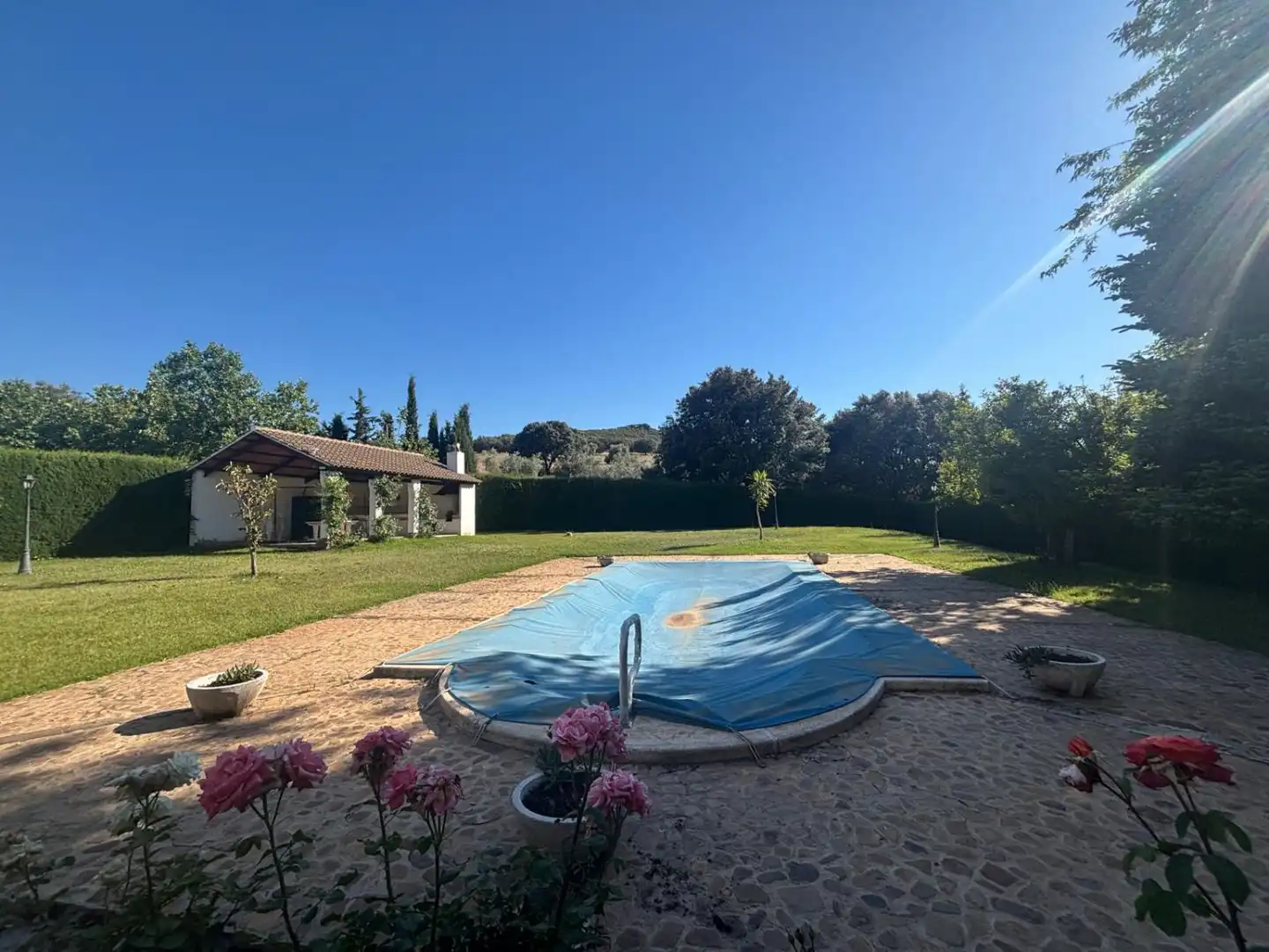 Piscina de Finca rústica en venda en Ciudad Real