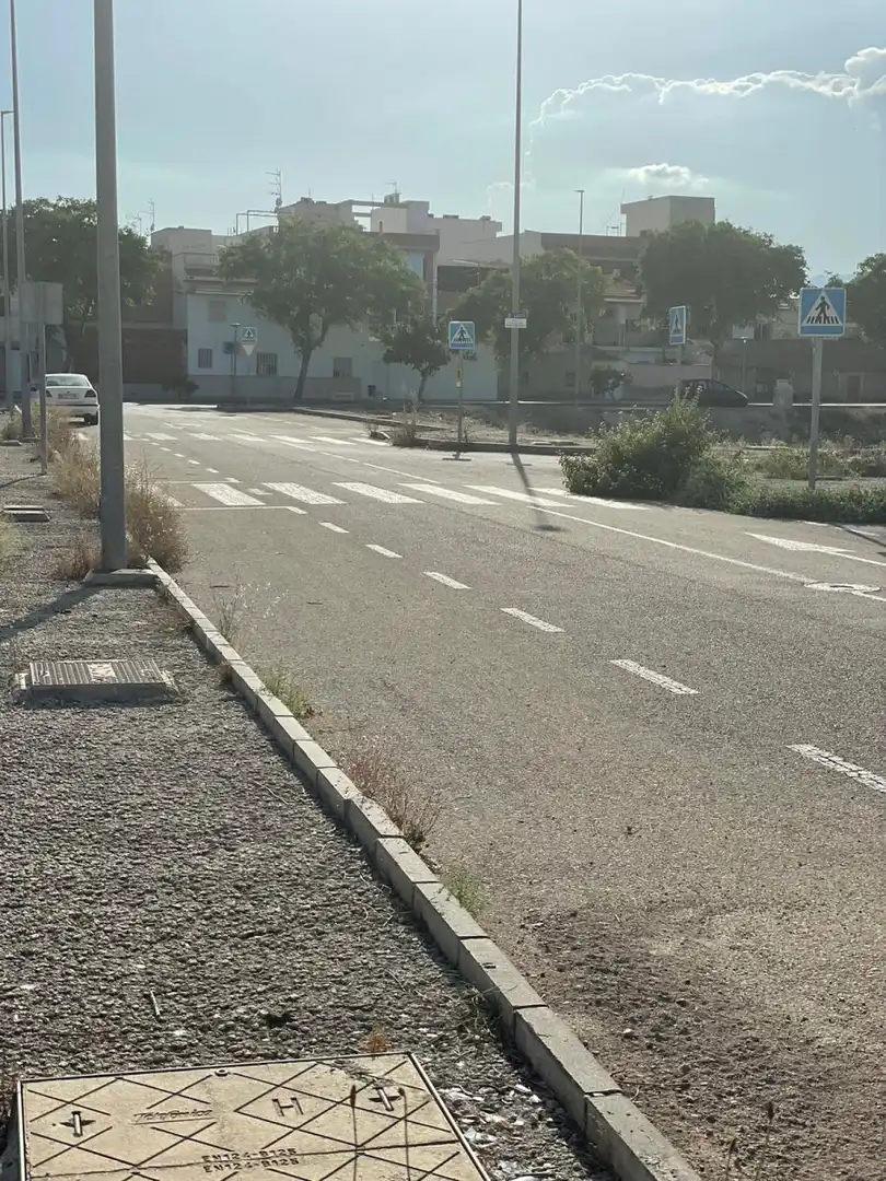 Terreny rústic en venda a Ceutí, imagen 3
