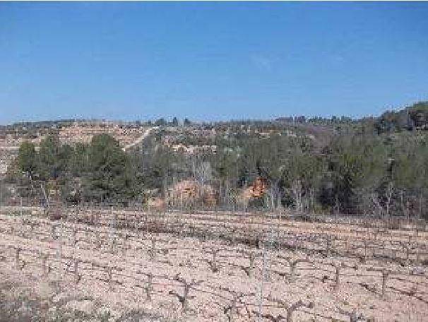 Terreno en Venta en Partida Cometa Y Pins Bes, POL-3 en Els Guiamets