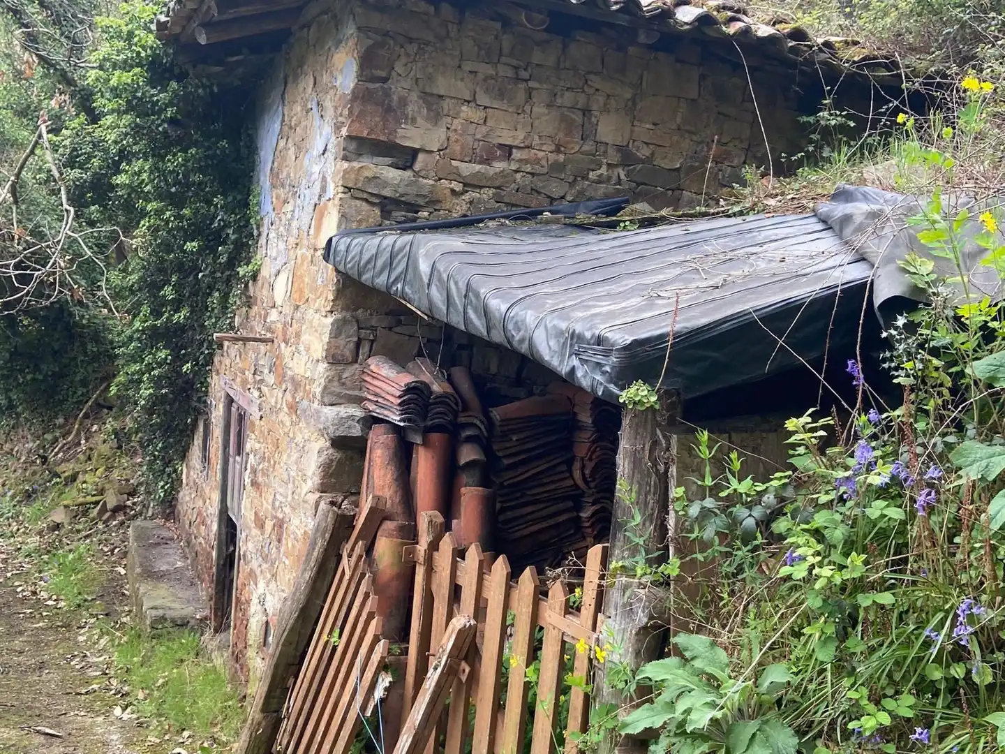 Maison rustique à vendre à SARABIA, imagen 7