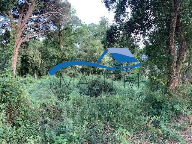 Lands and plots for sale in Carolina Coronado, imagen 12