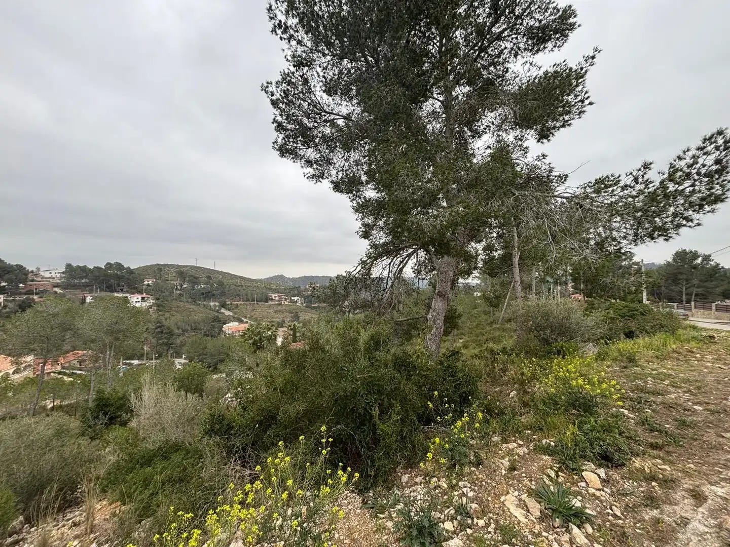 Wohnbaugrundstück zum Verkauf in Olivella, imagen 23